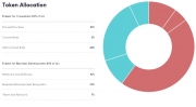 Token Allocation